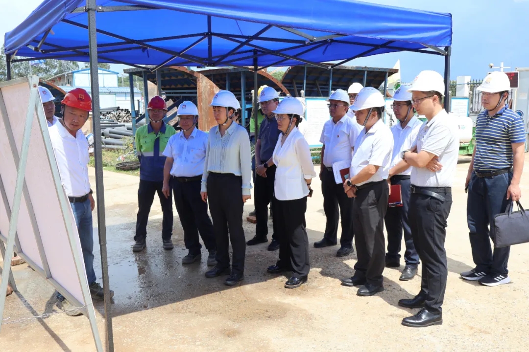 海南省副省长尹丽波赴星之海2万吨氢氧化锂项目现场调研